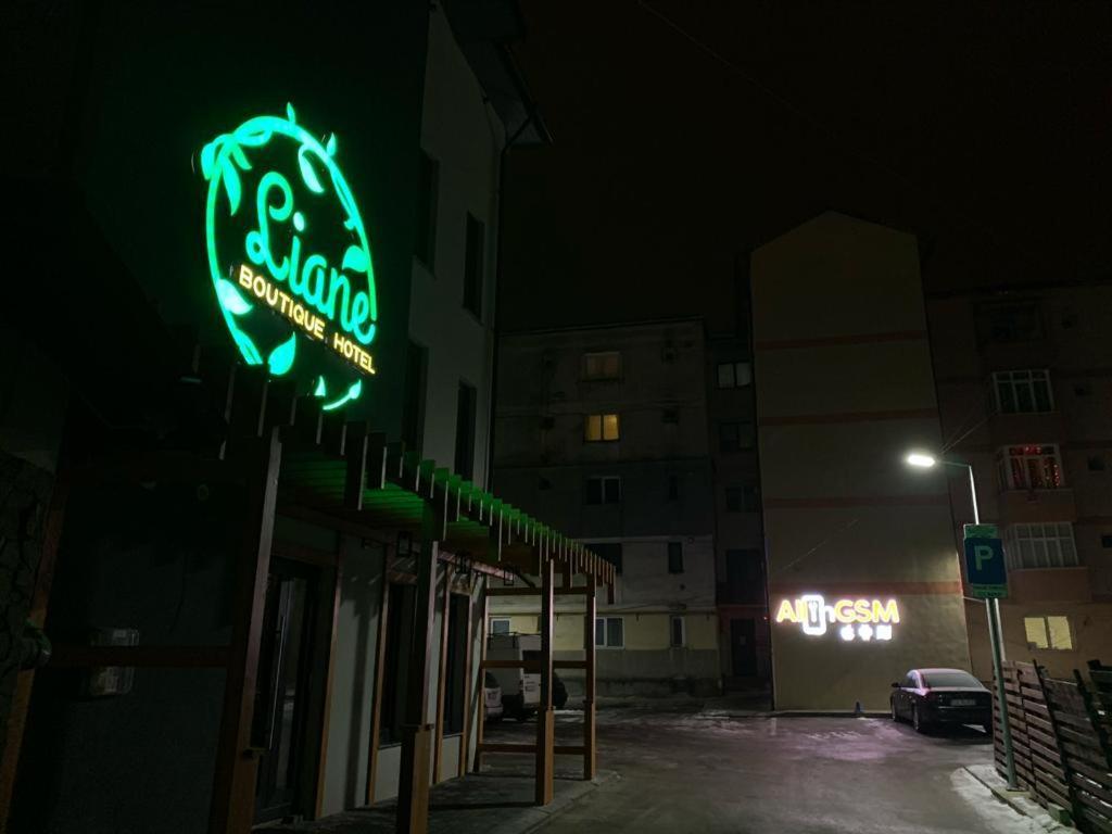 Liane Boutique Hotel Câmpulung Moldovenesc Exterior photo
