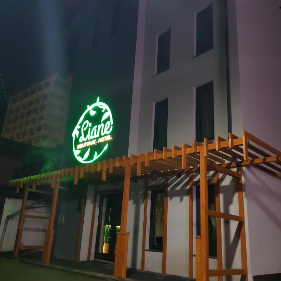 Liane Boutique Hotel Câmpulung Moldovenesc Exterior photo